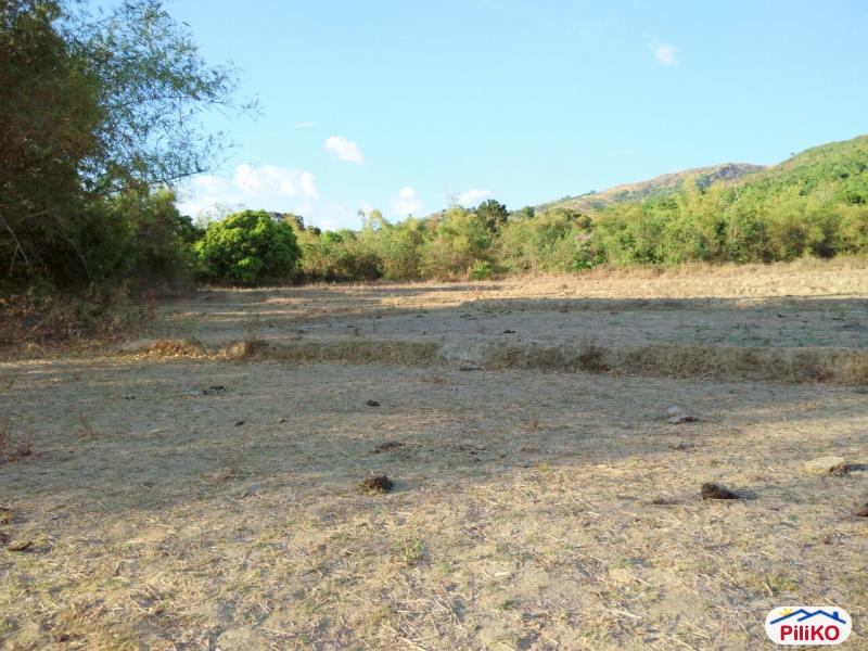 Pictures of Agricultural Lot for sale in Botolan