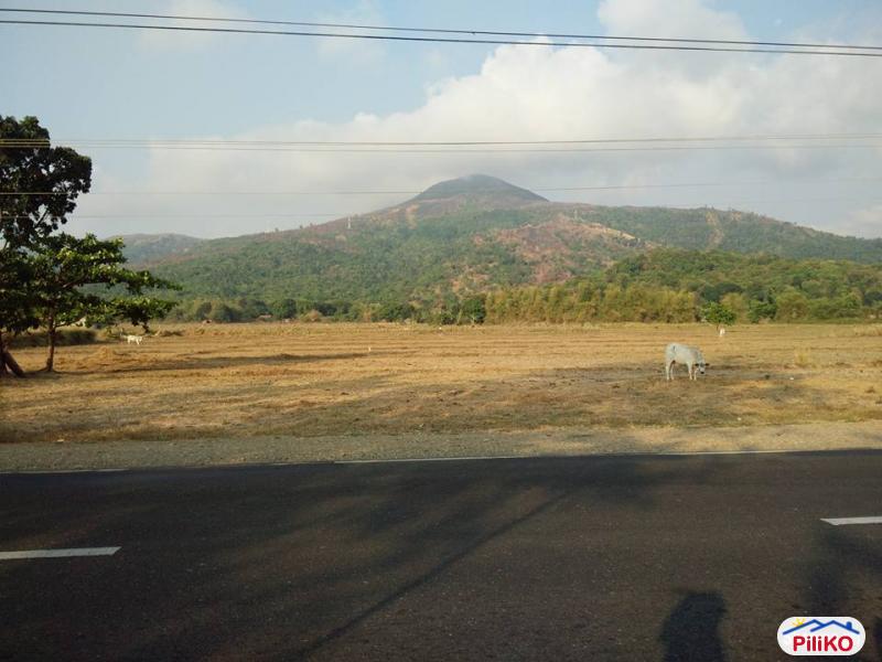 Pictures of Agricultural Lot for sale in Botolan