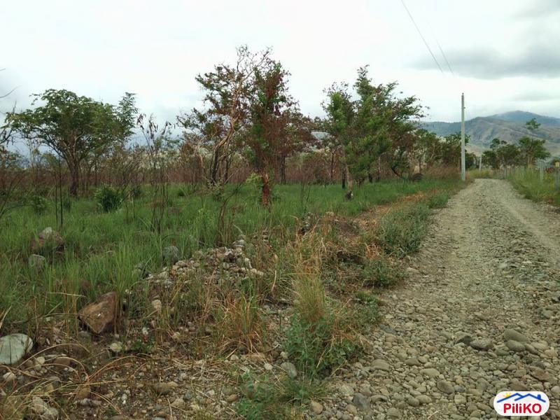 Picture of Agricultural Lot for sale in Palauig