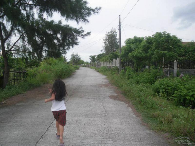 Residential Lot for sale in Cabangan - image 20