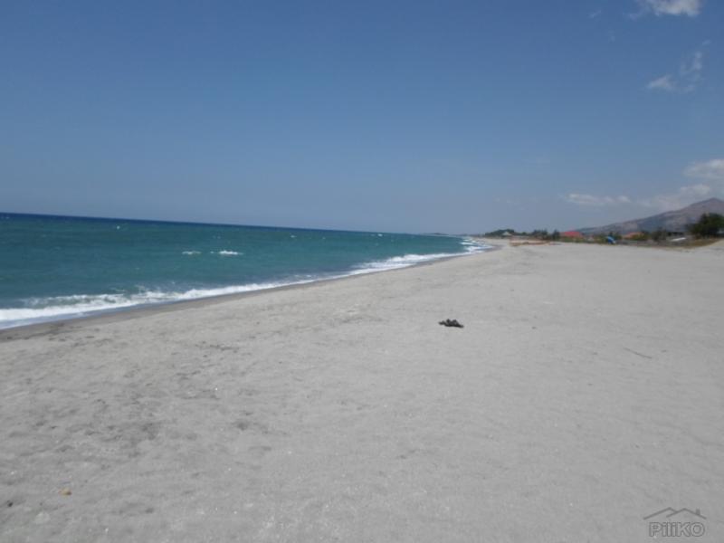 Residential Lot for sale in Cabangan - image 21