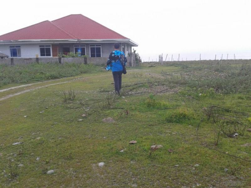 3 bedroom House and Lot for sale in Cabangan - image 24