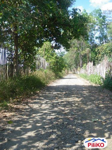 Agricultural Lot for sale in Iba