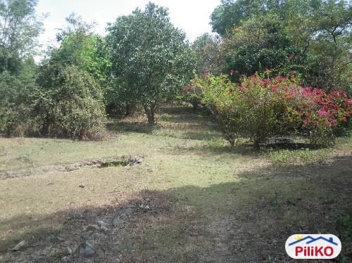 Agricultural Lot for sale in Cabangan