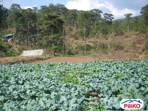 Residential Lot for sale in Baguio