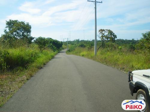 Agricultural Lot for sale in Palauig