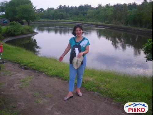 Agricultural Lot for sale in Iba