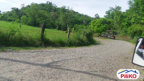 Agricultural Lot for sale in Palauig