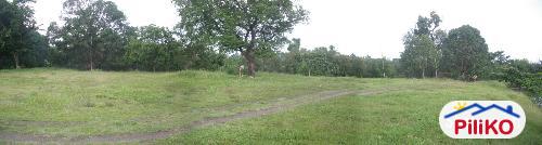 Other lots for sale in Iba - image 2