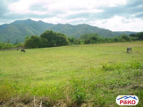 Agricultural Lot for sale in San Antonio - image 2