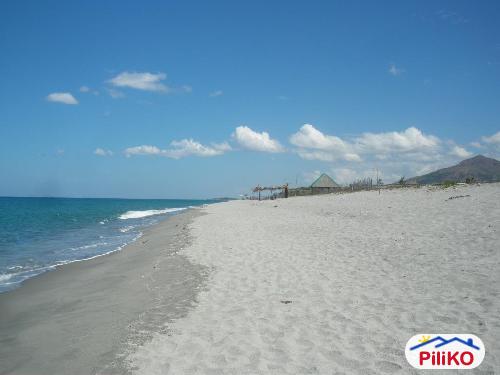 Other lots for sale in Cabangan - image 2