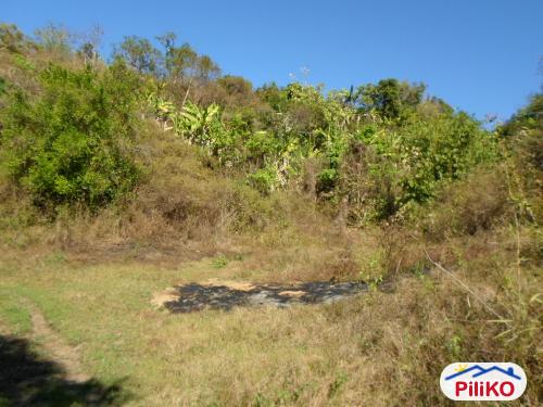 Agricultural Lot for sale in Botolan - image 2