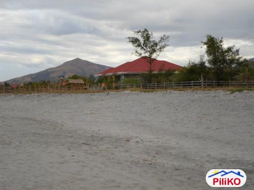 Other lots for sale in Cabangan
