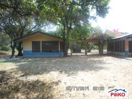 Agricultural Lot for sale in Capas
