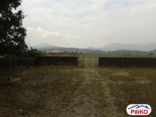 Agricultural Lot for sale in Cabangan - image 2