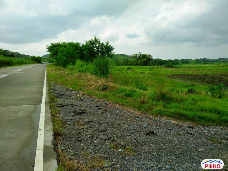 Agricultural Lot for sale in Capas - image 2