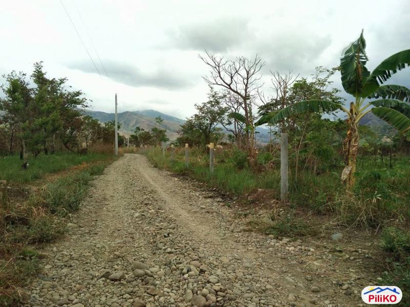 Agricultural Lot for sale in Palauig