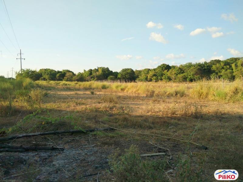 Agricultural Lot for sale in Botolan - image 2