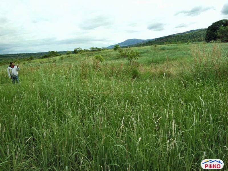 Agricultural Lot for sale in Iba