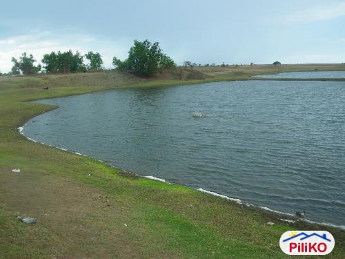 Other lots for sale in Candelaria - image 3