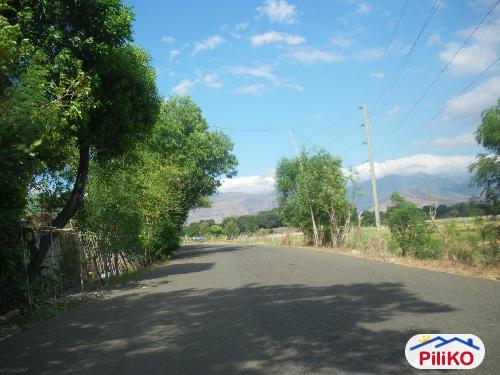 Agricultural Lot for sale in Iba in Zambales