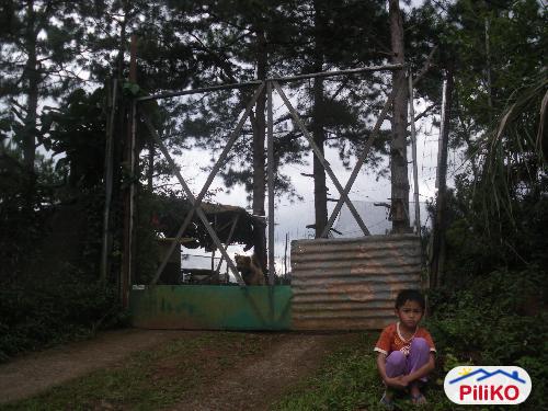 Residential Lot for sale in Baguio in Benguet