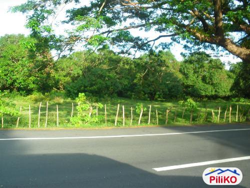 Agricultural Lot for sale in Iba in Zambales