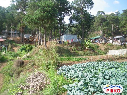 Residential Lot for sale in Baguio - image 3