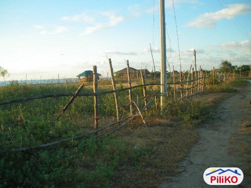 Agricultural Lot for sale in San Felipe in Zambales