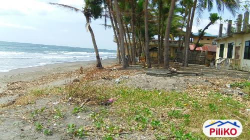 Agricultural Lot for sale in Iba - image 3