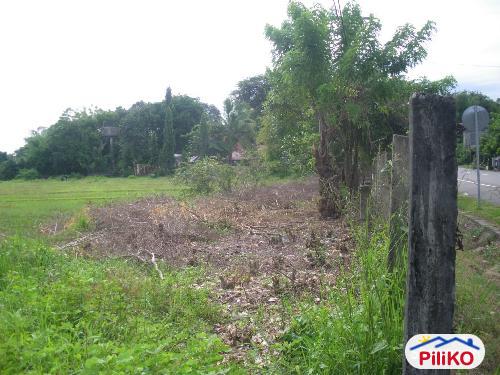 Agricultural Lot for sale in Iba in Zambales