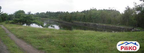 Other lots for sale in Iba - image 3