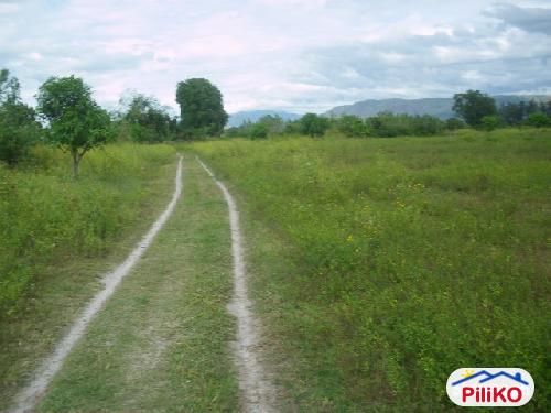 Agricultural Lot for sale in San Antonio in Zambales