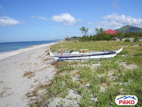 Other lots for sale in Cabangan - image 3