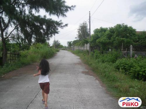 Other lots for sale in Cabangan in Zambales