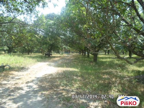 Agricultural Lot for sale in Capas - image 3