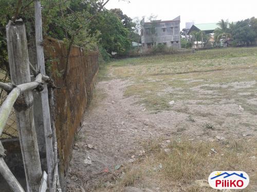 Agricultural Lot for sale in Cabangan in Zambales