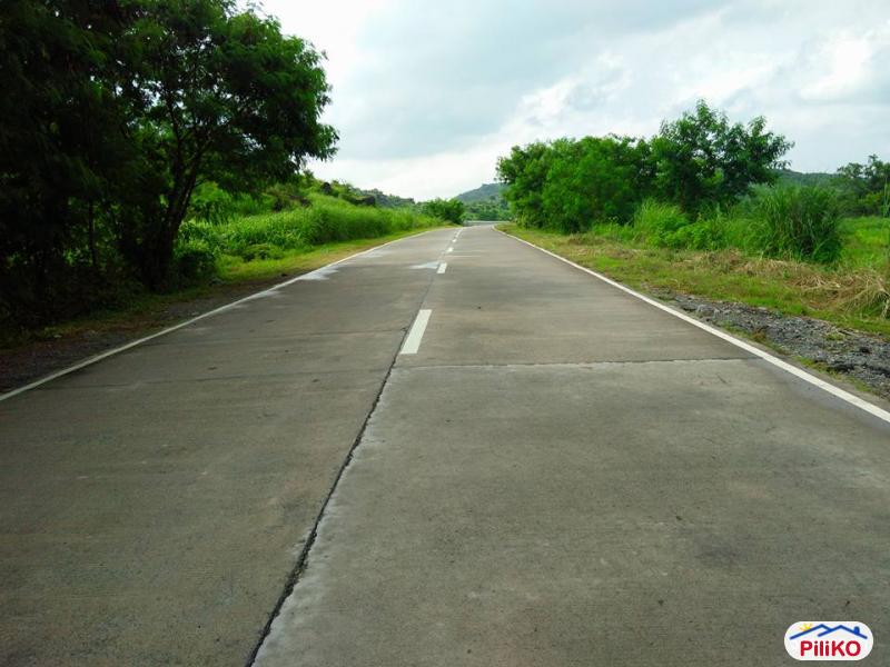 Agricultural Lot for sale in Capas in Tarlac