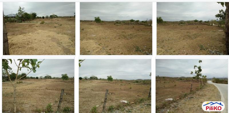 Agricultural Lot for sale in Capas - image 3