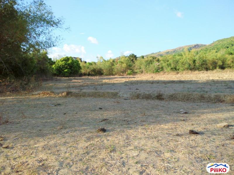 Agricultural Lot for sale in Botolan - image 3