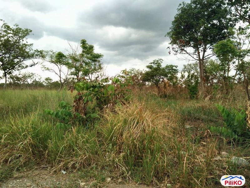 Agricultural Lot for sale in Palauig in Zambales