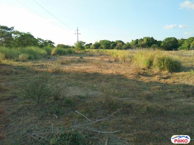 Agricultural Lot for sale in Botolan in Zambales