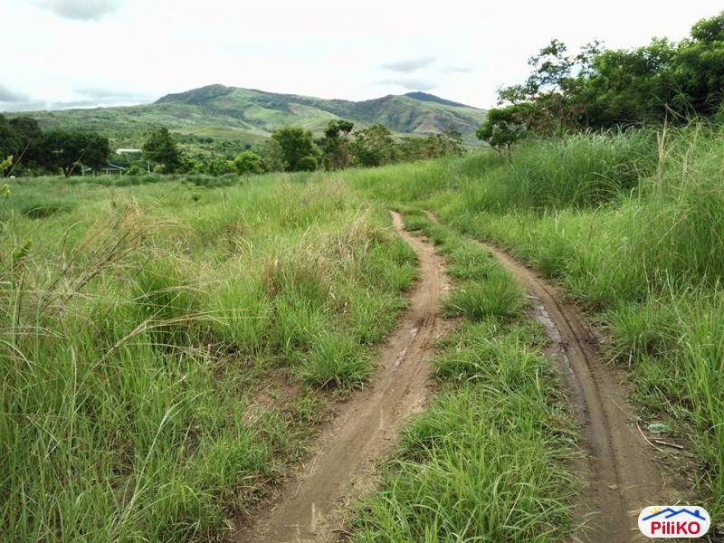 Agricultural Lot for sale in Iba in Zambales