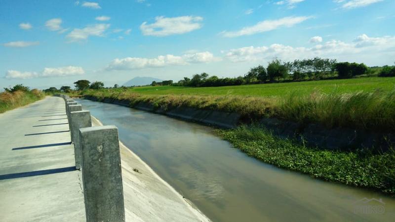 Land and Farm for sale in Capas in Tarlac
