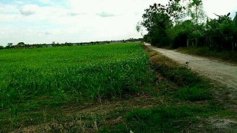 Picture of Land and Farm for sale in Capas in Philippines