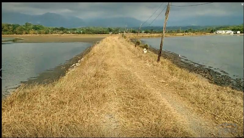 Land and Farm for sale in Masinloc - image 3