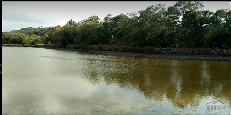 Land and Farm for sale in Masinloc - image 5