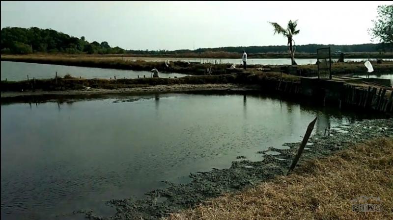 Land and Farm for sale in Masinloc - image 6