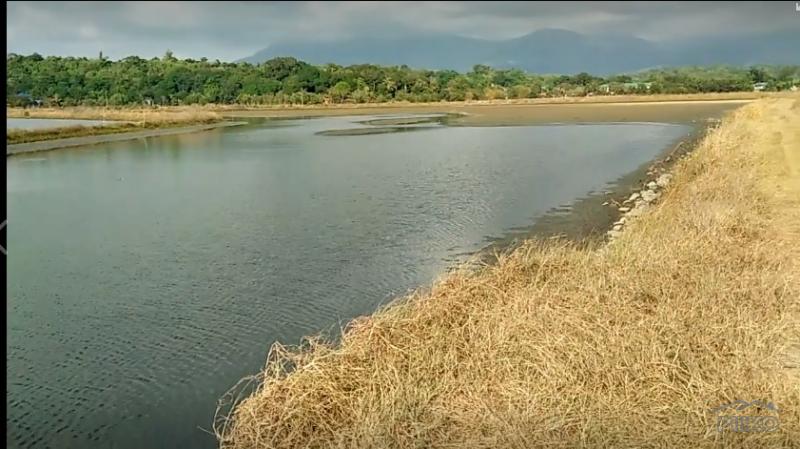 Land and Farm for sale in Masinloc - image 7