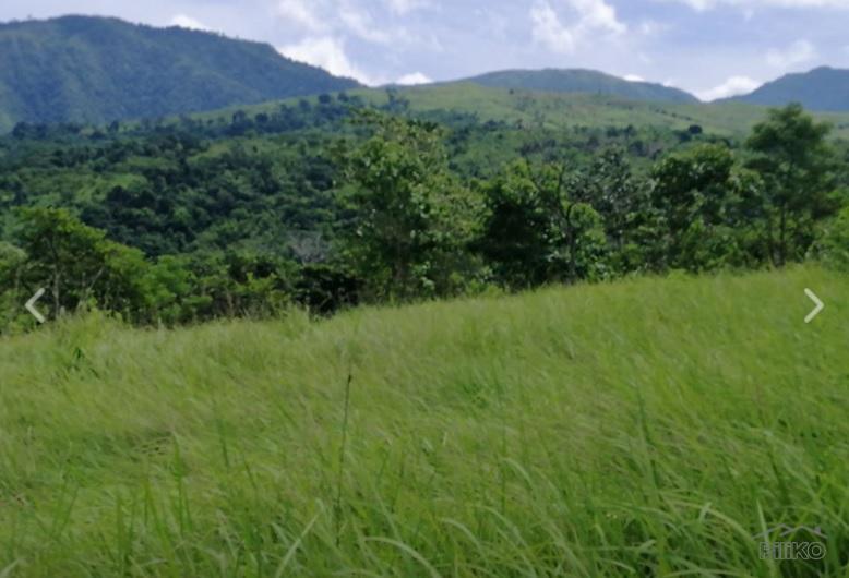 Land and Farm for sale in Masinloc